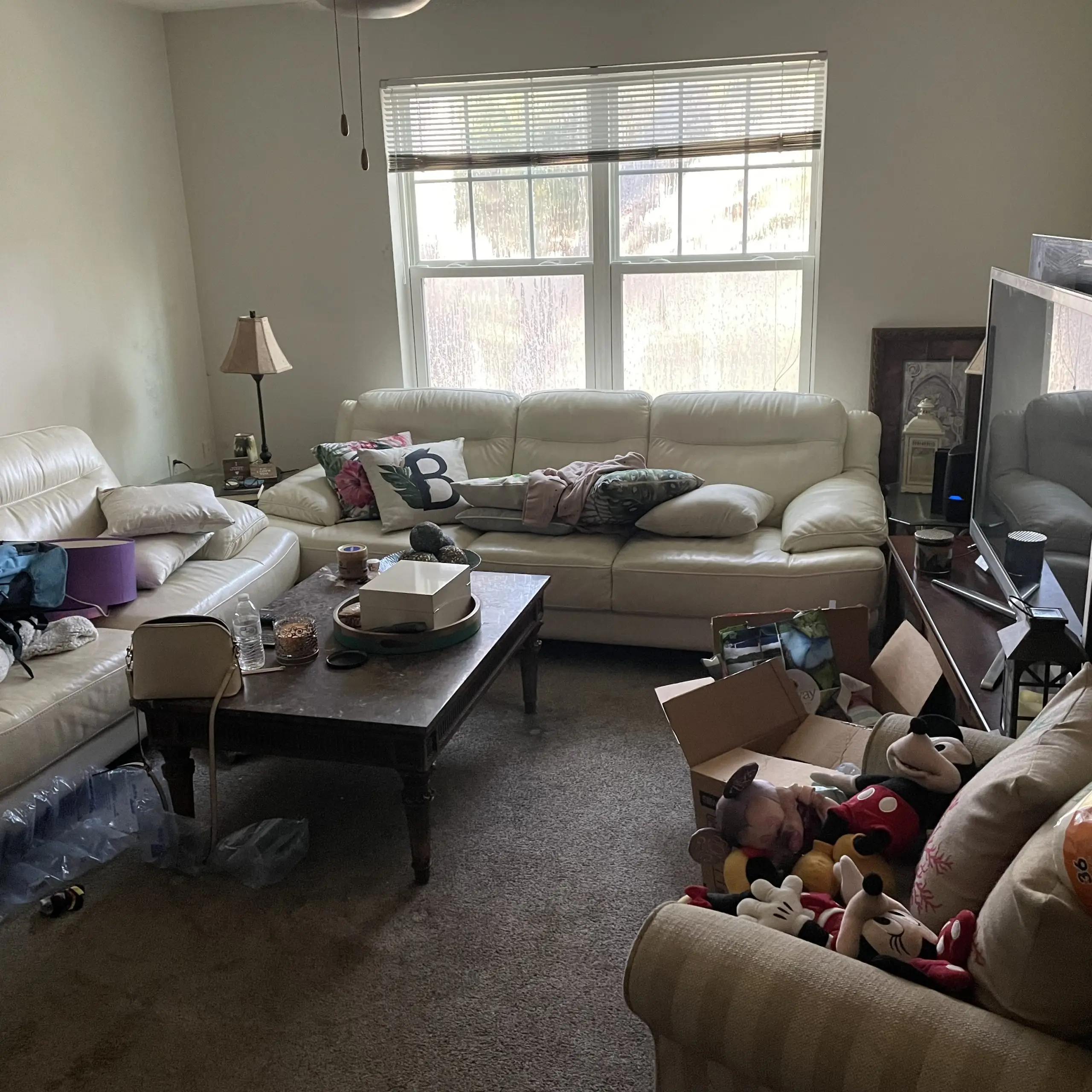 Home & Apartment Cleanout Before Home & Apartment Cleanout Before